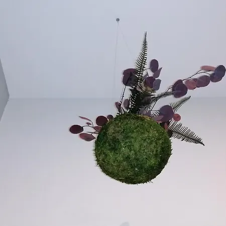 Casa Beda Болонья